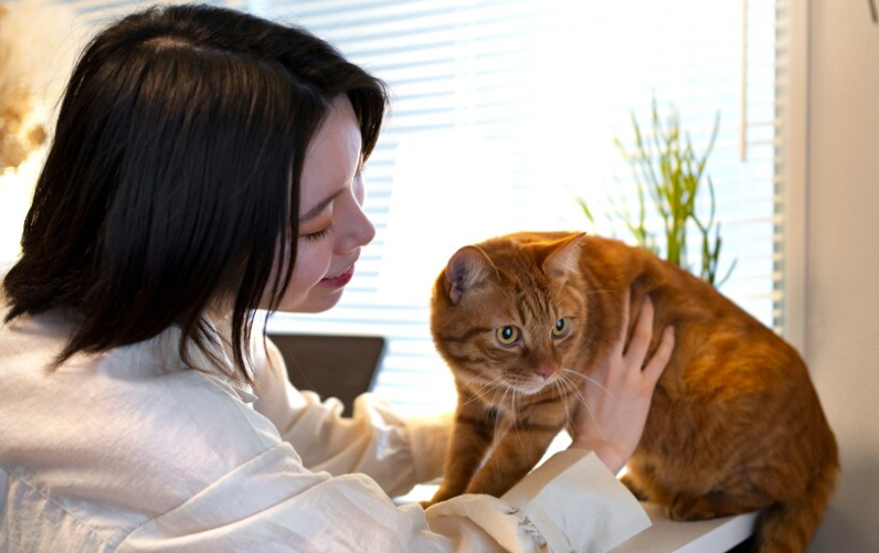 Cat Adoption - PawrPose